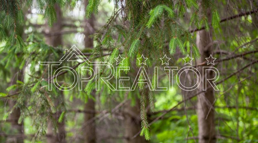 В продаже 77 участков в загородном комплексе Рай-Еленовка | Toprealtor