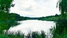 В продаже 77 участков в загородном комплексе Рай-Еленовка | Toprealtor 4